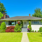 Common Triggers for Ant Infestations in St. Louis