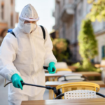 Guide to Seasonal Pest Cycles in Flower Mound