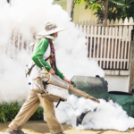 Naperville Pest Services Explained for Local Homeowners