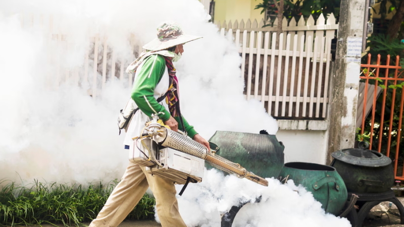 Naperville Pest Services Explained for Local Homeowners