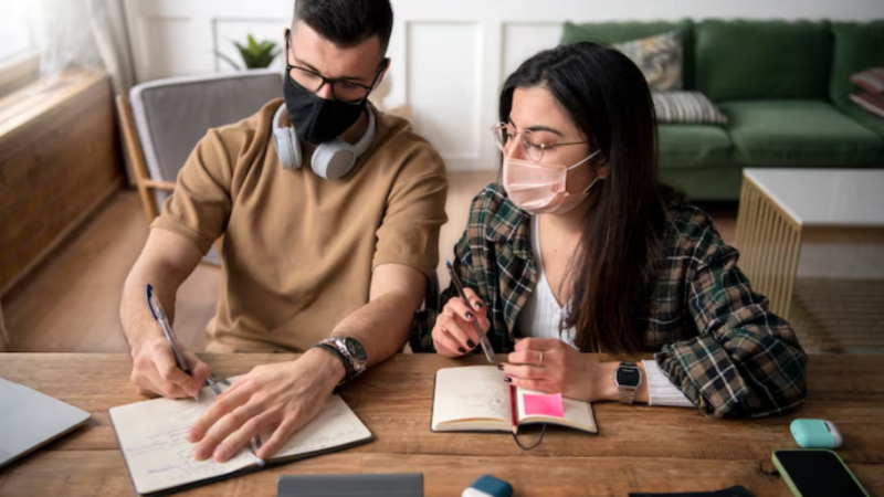 Reviewing Preventive Pest Care for Vancouver Homes