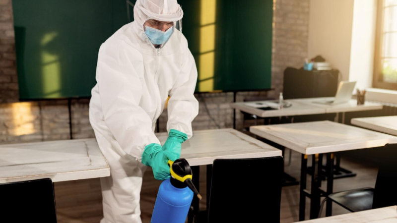 Six Things Your Elmhurst, IL Exterminator Wishes You Already Knew